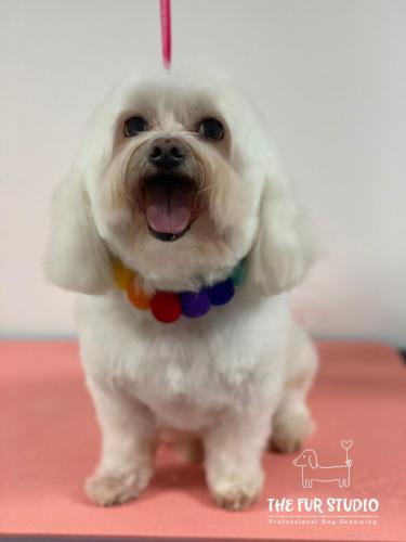 Happy Charlie!