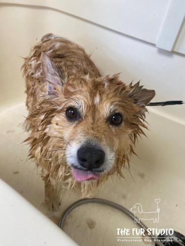 Tyson enjoying his bath!