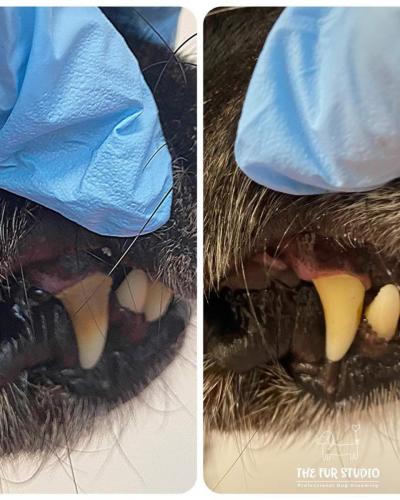 Teeth-before-and-after-4-cleaning-sessions