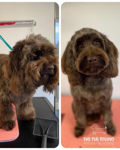 Zenni-before-and-after